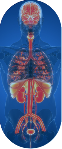 longevity-opacity longevity opacity